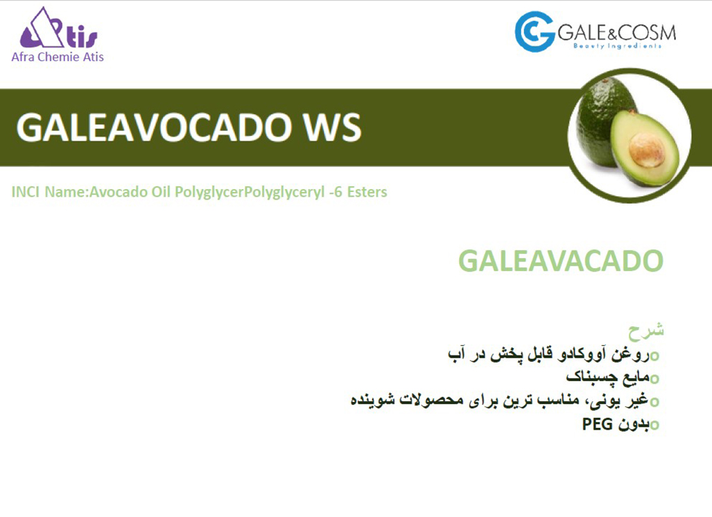 GALE AVOCADO WS